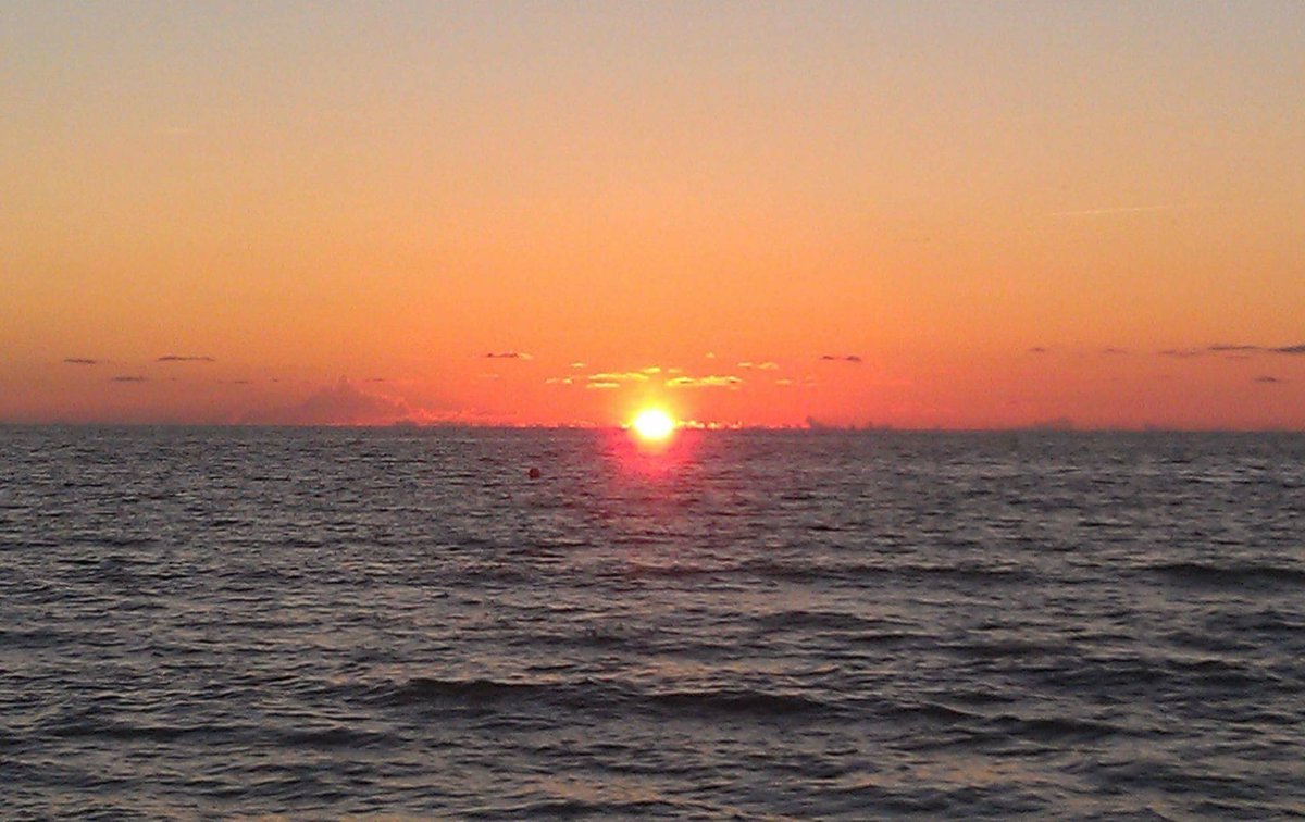 Sunny Side tweet media