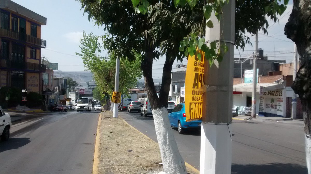 PAG_Tultitlan's tweet image. Que crees no los vi, pero #PoderAG te ayudó quitando basura de los postes