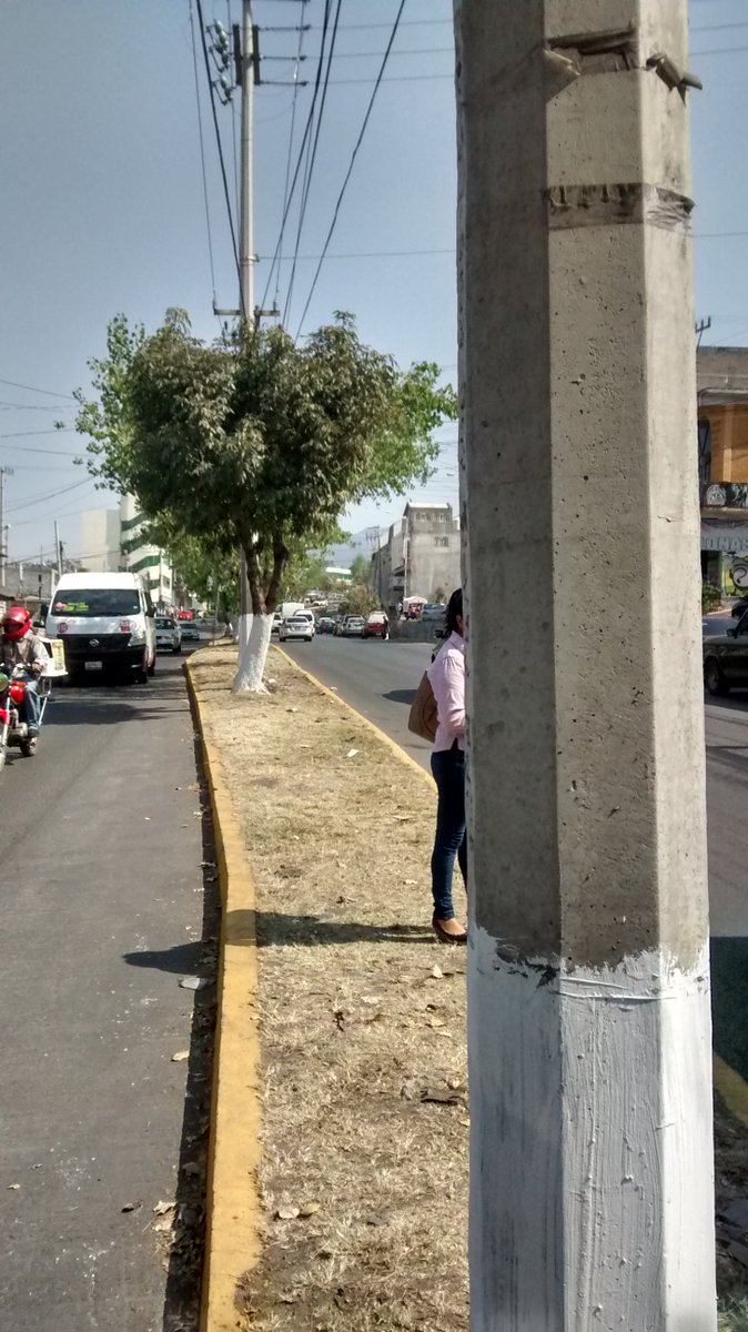 PAG_Tultitlan's tweet image. Que crees no los vi, pero #PoderAG te ayudó quitando basura de los postes