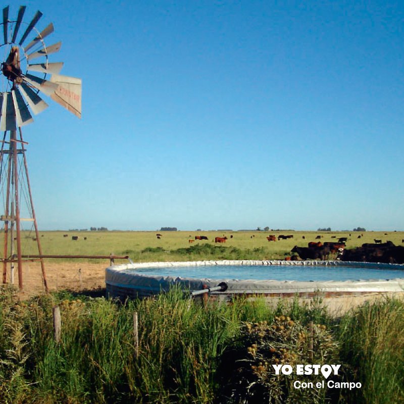 Esto nos remite a nuestra infancia, un chapuzón en el #campo