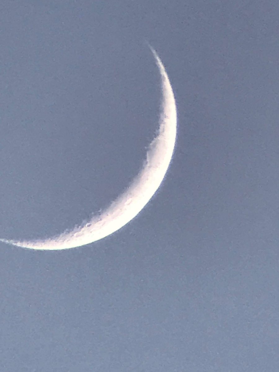 orion 20x80 astronomy binoculars