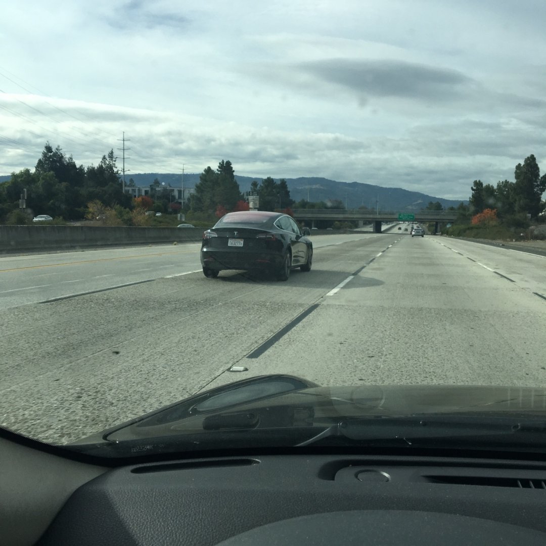 IanPavelko's tweet image. Me:
Man, I can&apos;t WAIT to finally see this car in the flesh.
Buddy in &apos;Frisco:
Dude, I&apos;m like surrounded.

#Model3 
#SiliconValleyProblems