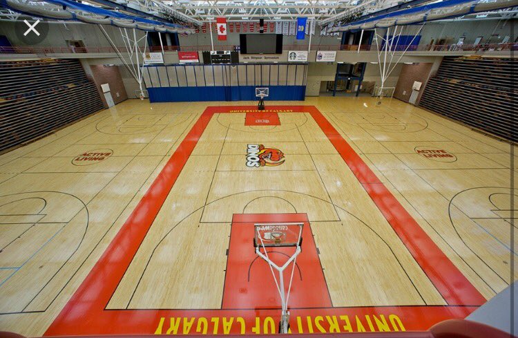 featherstonetay's tweet photo. So excited of officially announce my commitment to the University of Calgary! Go Dinos!💛🏀❤️ https://t.co/rv2xZN9iLU