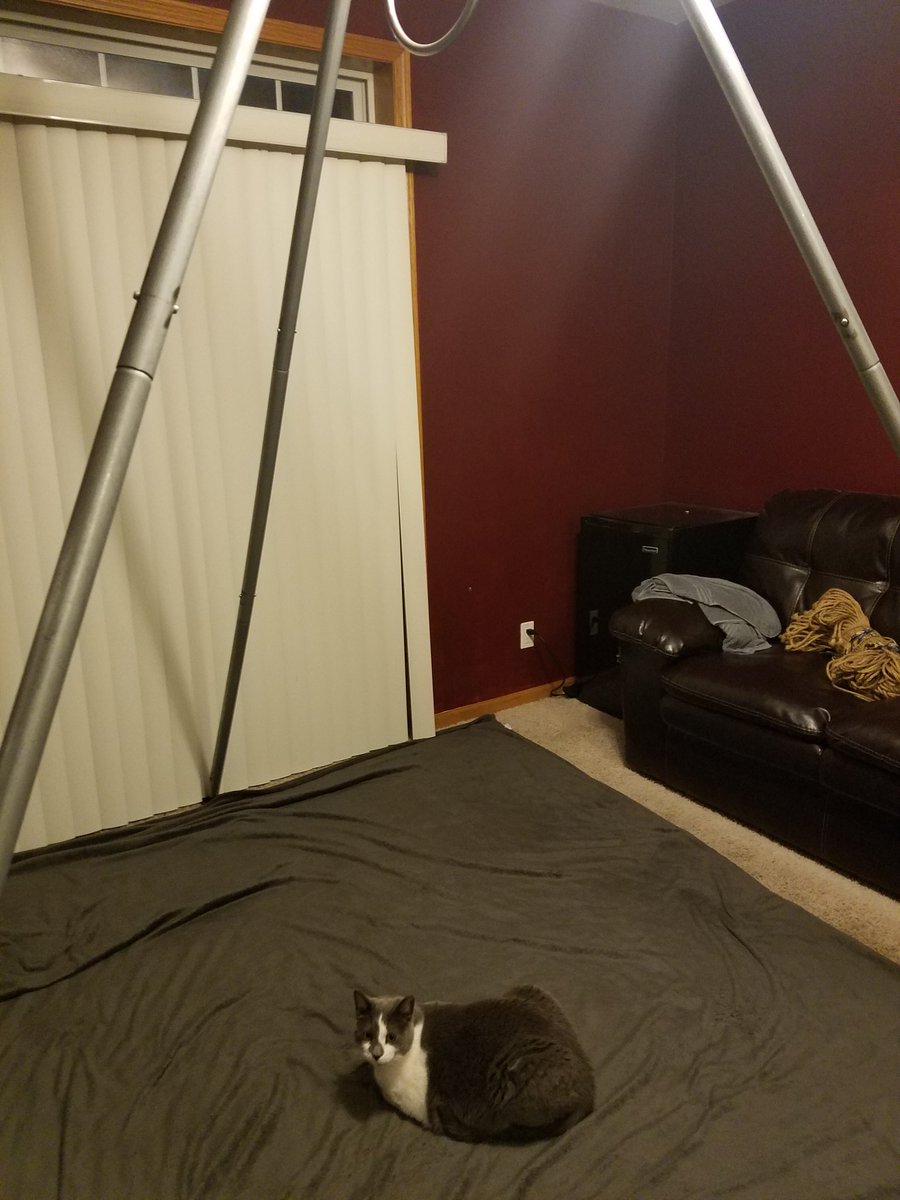 Type_Atypical's tweet photo. Even with no one here yet, Mr Kitty knows what's coming. (It's #RopeLab) https://t.co/4Qebaa5NTR