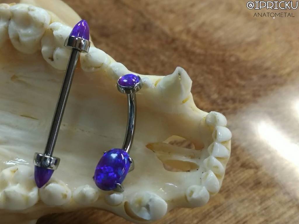 ipricku's tweet photo. Navel curve and straight barbell with purple opal settings from @anatometalinc. Stop by @boundforglory_nyc and check out Staten Islands largest selection of legit body jewelry today!
.
.
.
.
.
.
.
#ipricku #statenisland #bodyjewelry #anatometal #legitbodyjewelry #statenislan… https://t.co/qNI3Kvfs3p