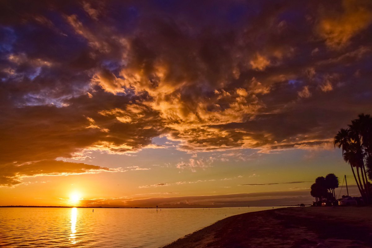 Floridian Creations tweet media