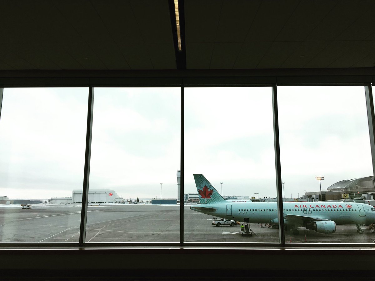 DucklowT's tweet photo. Filling my heart with happiness every single day. ✈️✈️✈️ @FlyYYC @AirCanada https://t.co/rxeV2A5iyQ