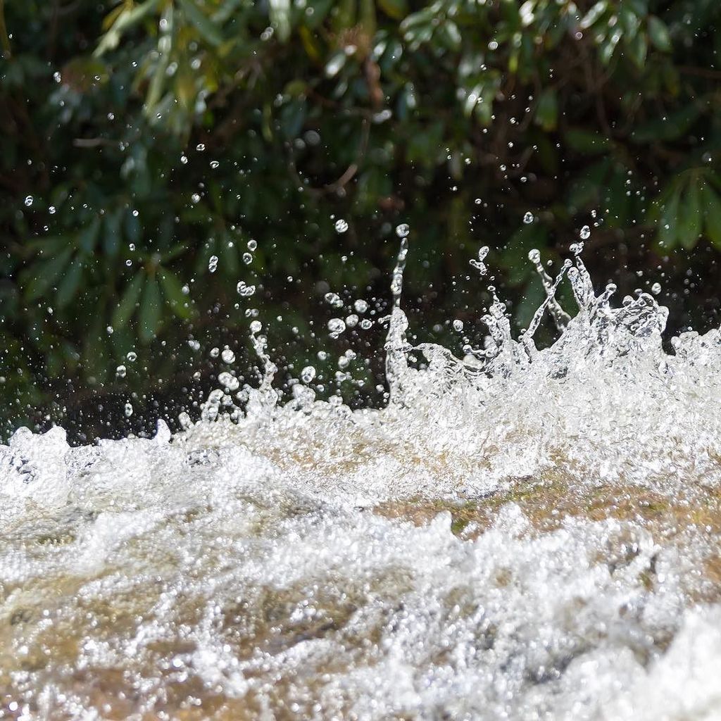 venture4wd's tweet photo. Before a canvas of rhododendrons, turbulent water crests a fall high within the mountains of West Virginia. #journeyinbetween #wild #wonderful #waterfall #monongahela #monongahelanationalforest #blackwater #bigrunfalls #water #river #optoutside #neverstoโฆ https://t.co/tH5EFFLcOf https://t.co/XYiviy9H52
