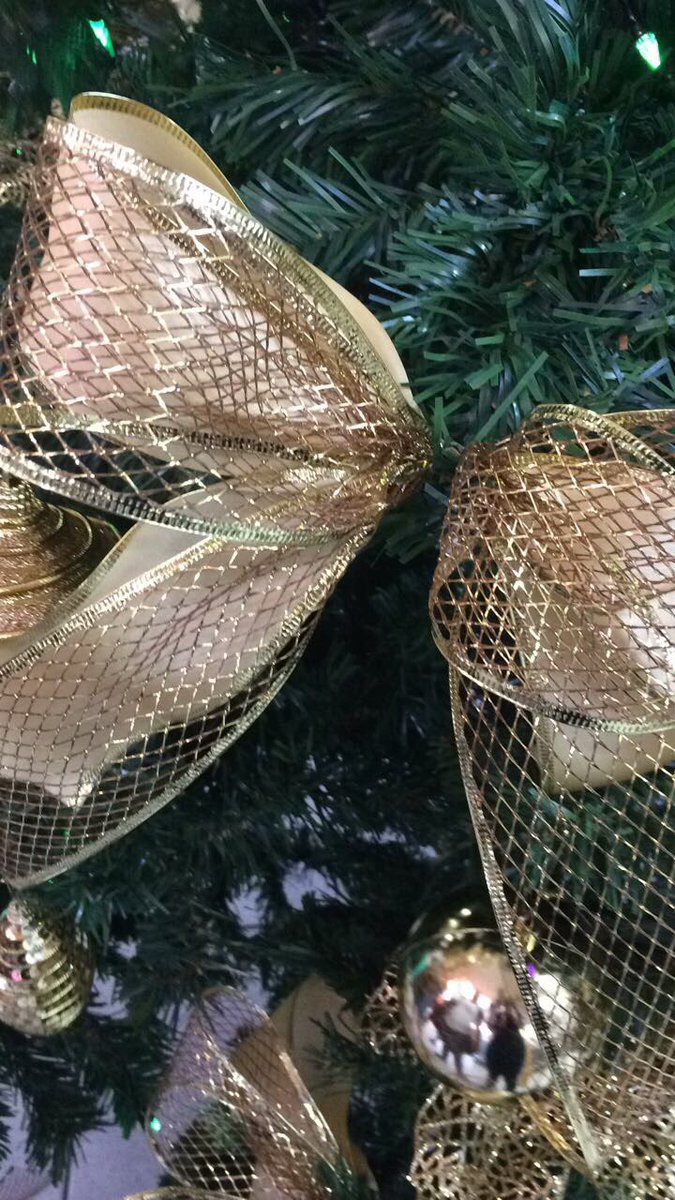 Natália Frutuoso (@nataliafrutuoso) on Twitter photo 