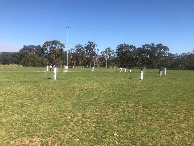 Inner East Emus tweet media