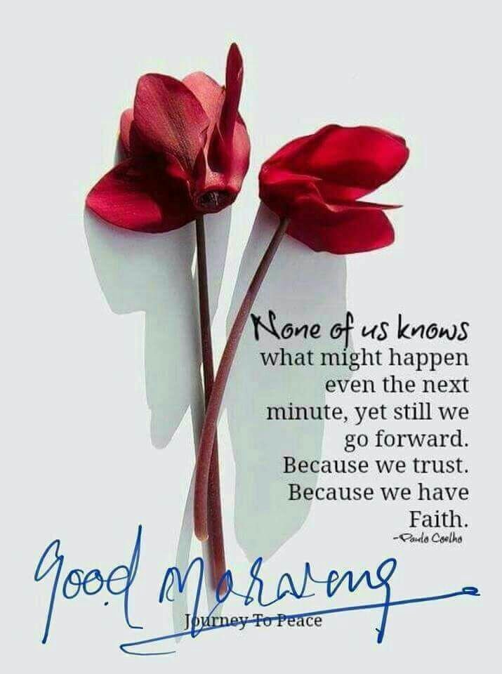 Pravinsr20's tweet photo. @SeemaSharma0321 Good morning https://t.co/uiK9qcvQCJ