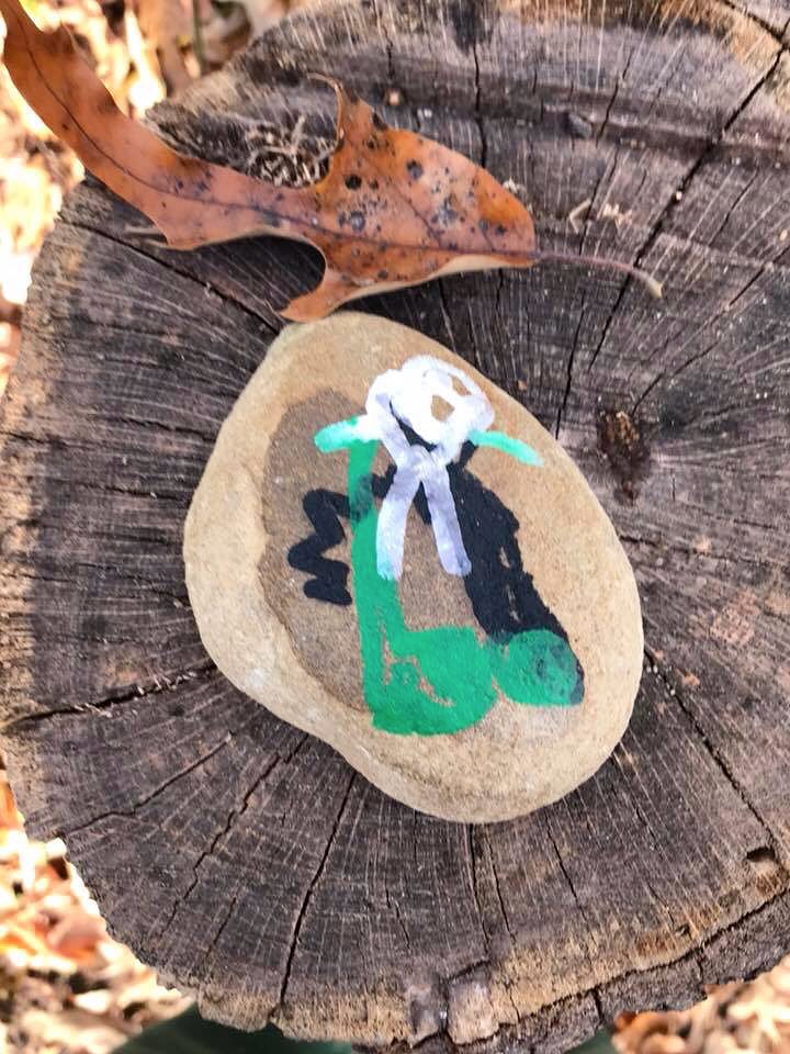 rvarocks804's tweet photo. Elizabeth spotted this cutie at #DeepRunPark! #rvarocks #rva #rvarocksofficial #paintedrocks #rockart #community #keeporhide #spreadkindness https://t.co/oVeOlXF8D4