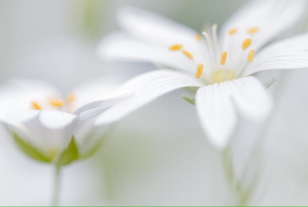 당신이
무언가를 
도전하고 시작하는 날

성공의
절반은 이루어 놓은 것 입니다

나머지 절반은

당신의 노력과 끈기와 패기가
이루어내야 할 몫인 것 입니다