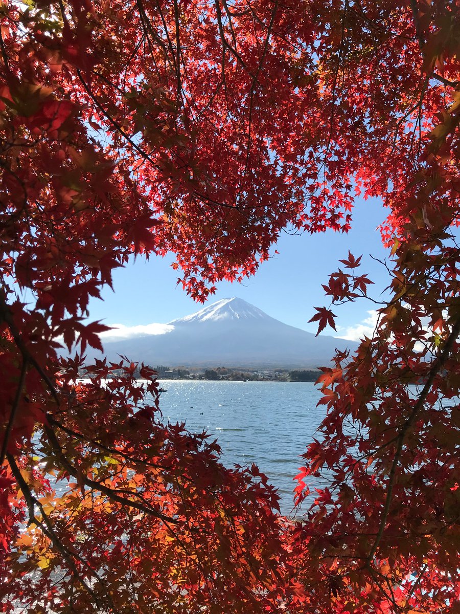 富士山絶景 Pashadelic ブログ紹介 恋が叶っちゃう ハート富士山 Monicaさんの書いたブログがpashadelicブログで暫定トップビュー数を記録 紅葉が富士山をハートの形に囲んだ奇跡みたいな可愛い一枚 待受画像にしたら きっと 恋が叶う