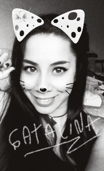 Cooelo23's tweet photo. Feliz noche Gatitos 😽 https://t.co/uitbIKKRTa