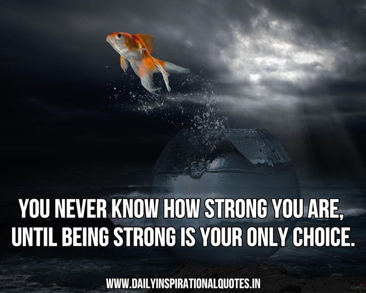 sehgalashish1's tweet photo. #WednesdayWisdom https://t.co/8dFDIcKl27