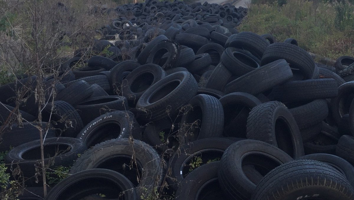wdsu's tweet photo. New Orleans East residents fed up with illegal dumping https://t.co/8KeqZEvrVa https://t.co/gqsy2SsRIU