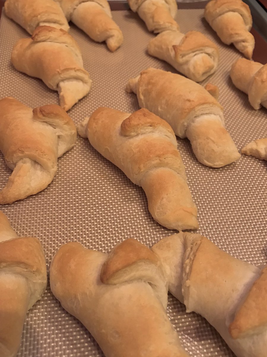 Kaneshow's tweet photo. Awe yeah. Practice run ready to go! Can’t wait for my major role on Thanksgiving! #CresentRoll’s like a boss! https://t.co/Q4FxeJWXah