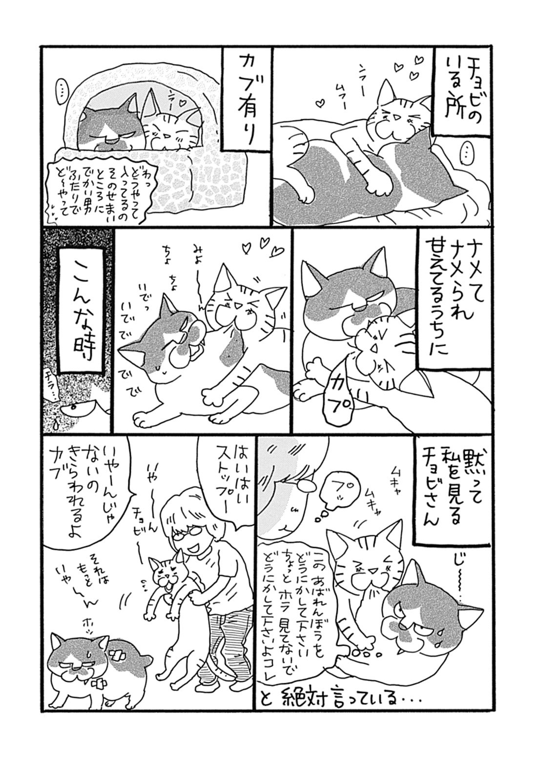ねこねこ横丁編集部 いくえみ家を彩った愛くるしい歴代猫たちとの思い出を綴る珠玉の猫エッセイ いくえみ綾先生の かわいいにもほどがある アンコール連載第19回 困るくらい同居猫の甘えを全身に受けるチョビ そしてチョビが甘える相手は T