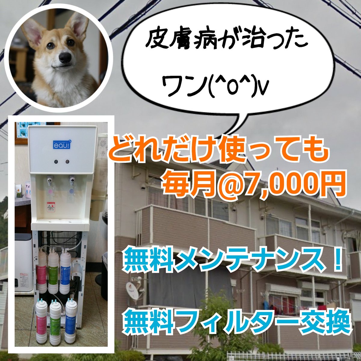 西山一男 水素水 タイム 兵庫県西宮市山口町へ ミネラル水素水サーバー メンテナンス V 0 01マイクロフィルターでクリーンな水素水 O V ワンちゃんの飲み水に水素水で皮膚病が良好 冷水4 温水90 で料理が速く安全です 道路下の水道管の