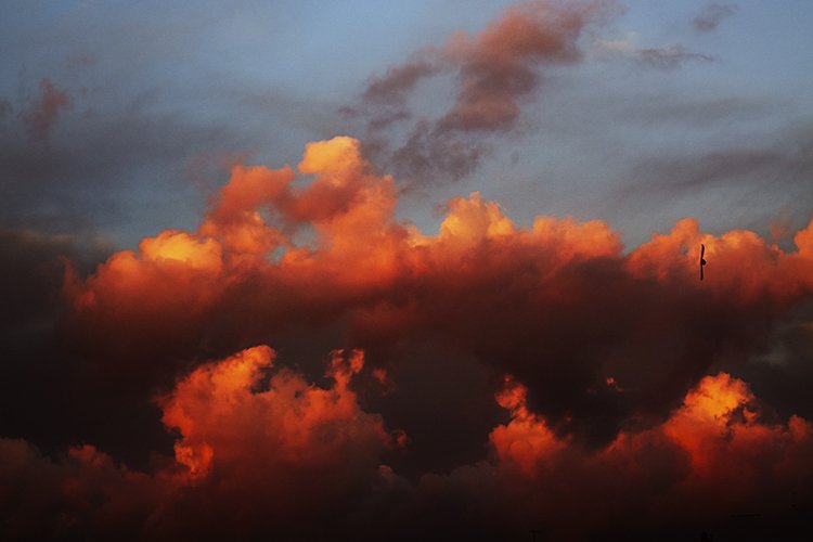 EnRuCo_PH's tweet photo. Espacial IV / Spatial IV
©enruco
___
#sky #cielo #nube #cloud #雲 #orange #fotografia #foto #fotograf #fotoğraf #ph #photo #photography #photographer #photoart #pic #picsart #picture #enruco #arte #art #artwork #artist #abstractart #abstract #abstraction #abstractartist #naranja https://t.co/nbDPqauwMM