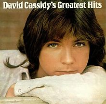 characters_13's tweet photo. https://t.co/WGsjFDtkDD #RIPDavidCassidy  #DavidCassidy Ain't No Sunshine anymore. https://t.co/U7TFoaej4L