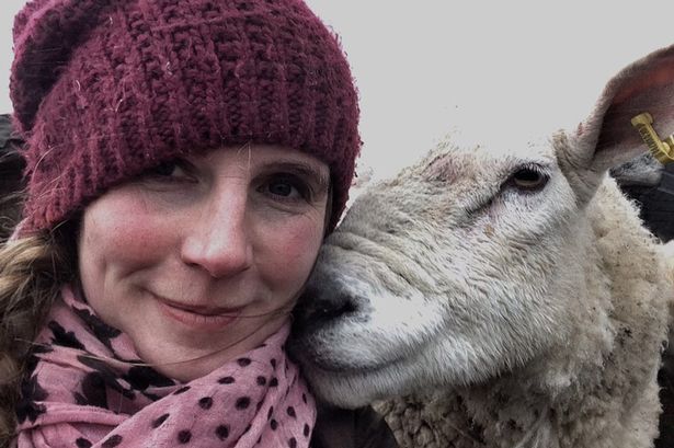 BETA_Int's tweet photo. Really looking forward to welcoming the Yorkshire Shepherdess @AmandaOwen8 to @BETA_Int in January. Retailers - have you claimed your free visitor pass at https://t.co/lphsl35JCw? #BETAInt2018 https://t.co/GVzUsedwPh