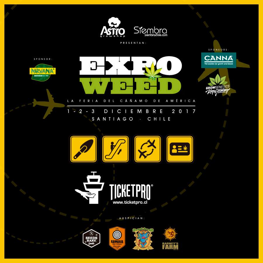 RevistaPitay's tweet photo. Revista PITAY acreditada como prensa intnl este 1, 2 y 3 de dic en la feria del cáñamo más grande de Sudamérica. Vive tu tambien la experiencia @ExpoweedChile07 junto a muchas marcas especializadas. https://t.co/GlmuLoIoyt ¿Quién se apunta?
 #RevistaPitay #Cannabis #ExpoWeedChile https://t.co/osPBhpP1hJ