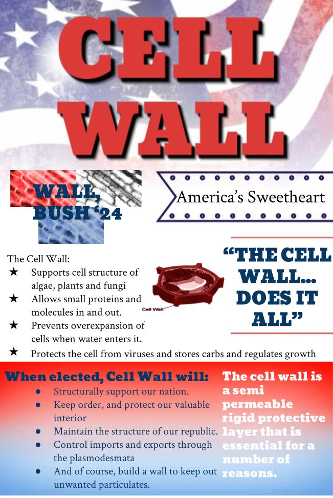 CellWall2024's tweet photo. Put your vote in for the one that supports the basis of the food chain, keeps cells from exploding under turgor pressure...ect. Cell wall does it all!
@MsArmstrongWHS #WHS2017Slampaign https://t.co/tS1KWGKx44