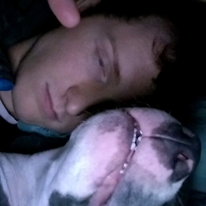 jonchampion4's tweet photo. #puppylove https://t.co/lH8OAlbFkQ