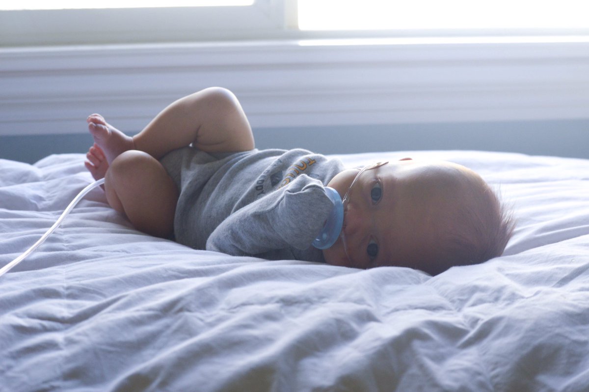 Katie_Lovelyy's tweet photo. Learn about @prolacta a 100% human milk fortifier for premature babies in the NICU #ontheblog today! #prolacta #ad 

https://t.co/J5Ai6MeEXW https://t.co/FUeHLuAop8