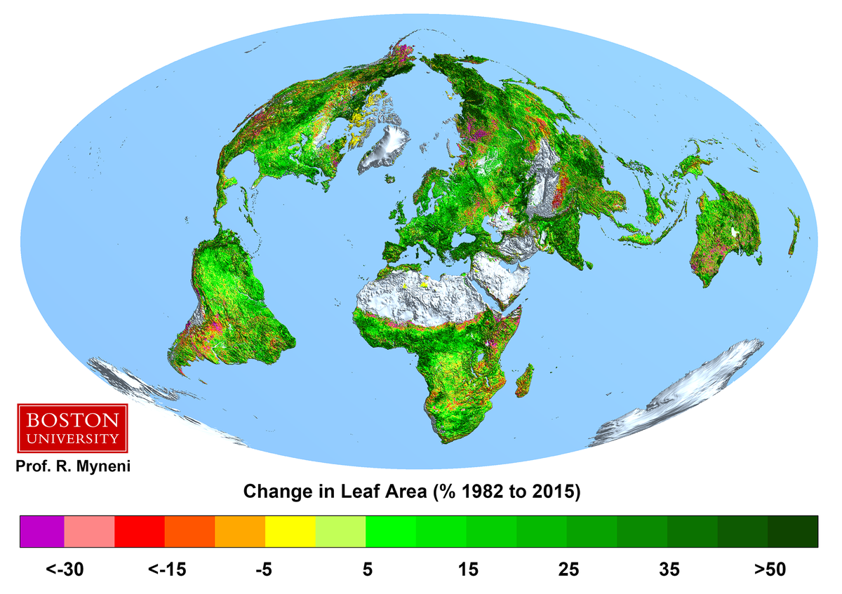 CellWall2024's tweet photo. According to Dr. Myneni of Boston University, "Earth’s plants and trees have sprouted enough new leaves since the early 1980s to cover twice the area of mainland United States, according to new research." 
Think of all the cell walls!
@MsArmstrongWHS #WHS2017Slampaign https://t.co/FqCa8bpGDg