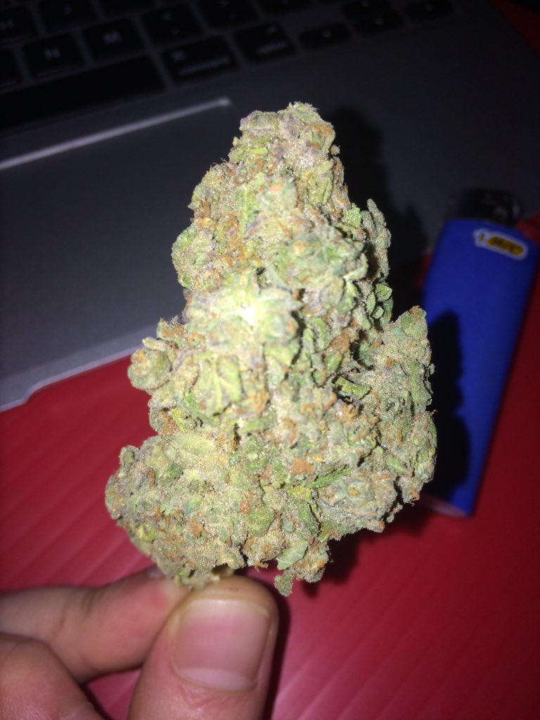 <a href="/MikeRob47354384/">Mike Robinson</a> <a href="/khyatt25/">kristina LP</a> <a href="/M_EIshm/">JusSayin</a> @420MakeItLegal @_dopedaneille <a href="/LARRYIRBY6/">LARRYIRBY</a> <a href="/BoyGiuly/">Giuly Boy</a> <a href="/ArmyOfPotheads/">Army of Potheads</a> <a href="/NorCalStoner420/">★Mary★</a> <a href="/highowlsapparel/">High Owls Apparel</a> <a href="/CannabisFN/">Bao Khuyen</a> <a href="/Norstackk/">S. W. N.</a> <a href="/WeedEssence/">Weed Essence</a> @herbalinfuser <a href="/loudbank/">albert chan</a> <a href="/thcmed/">Trichome Health Consultants</a> <a href="/Kunzitoons/">Kunzitoons</a> <a href="/dankcreative/">Dank Creative</a> <a href="/Dr_Big_Budzz/">The Haze Of Our Lives™</a> <a href="/CenturionProSol/">CenturionPro</a> @jamesgr242 <a href="/tripprrr/">Rick</a> <a href="/Cogitatorium/">Cogitorium</a> <a href="/james_bong13/">TrutherBong13</a> @Kooky_420 <a href="/4Rare420_Rx/">Mat Rhoades</a> <a href="/Chri27ina420/">Chri27ina</a> <a href="/EmeraldZoo/">Emerald Zoo LLC</a> @lrbates21517 <a href="/blicqer/">blicqer™</a> <a href="/samriddle/">samriddle</a> <a href="/CoCannabisCo/">CoastalCannabisCo</a> <a href="/WEEDISMYMEDICIN/">👑KING👑</a> <a href="/sistaSarahBK/">Sista Sarah</a> <a href="/420StonerCorner/">James Analki</a> <a href="/SpotItHigh/">SpotItHigh</a> <a href="/420GangstaCa/">420Gangsta.ca</a> @wheretobuyvapes <a href="/T0High/">Sativa</a> <a href="/BeachBong/">oat milk drinker</a> <a href="/420cannabisseed/">geordie seeds</a> @Potlantis Hey fam! #nofilter #bluebic