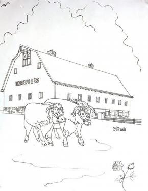 Aboutzz_J's tweet photo. Ted Stillwell: The quest for a better bull-https://t.co/G5Afv8pOSK #ted #stillwell #Communitynews https://t.co/OAiJdljvFm