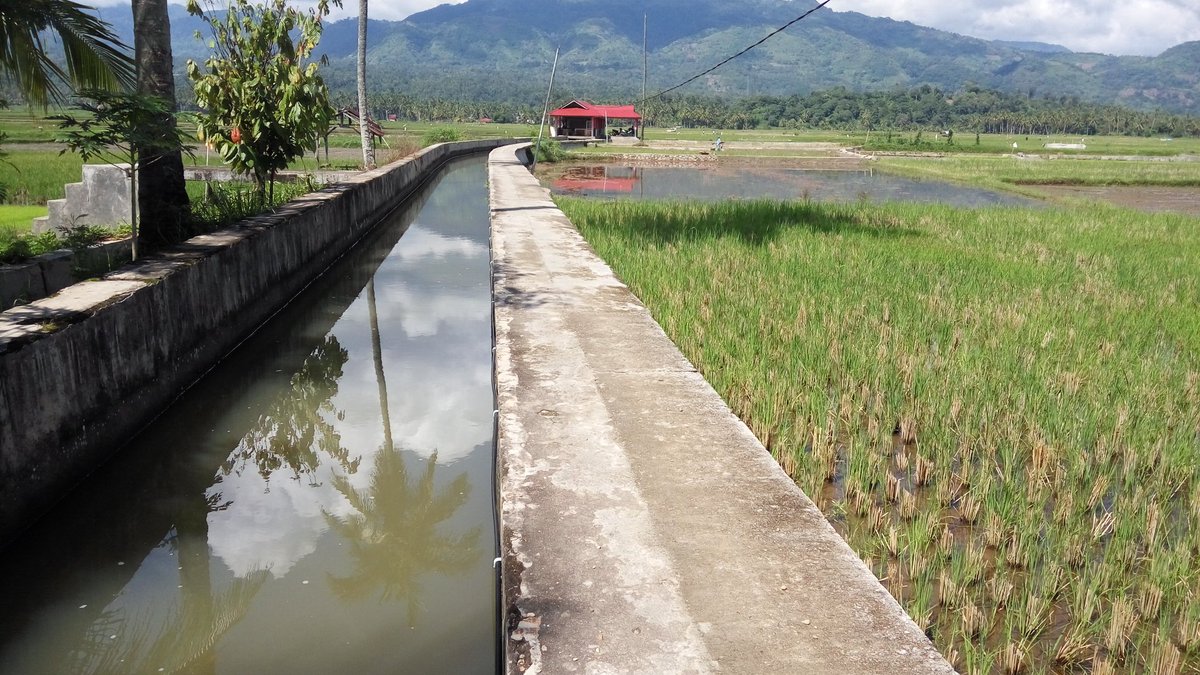 Karsunanda03's tweet photo. Persiapan teknis Mina padi Pokdakan Sawah Solok @susipudjiastuti @PPBPUSLATLUHKP @bpsdmpkp harapan menjadi kawasan budidaya perikanan yang maju https://t.co/7Q24xTQhUR