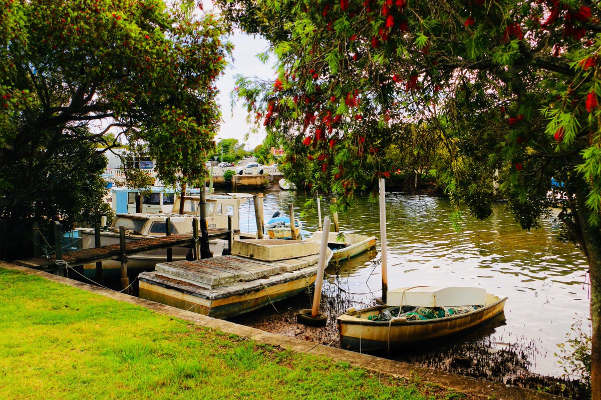 A little snap of #breakwaterpark #wynnum for the #snapbrisbanetimecapsule <a href="/visitbrisbane/">Visit Brisbane</a> <a href="/Snapbne/">Snap Brisbane</a>