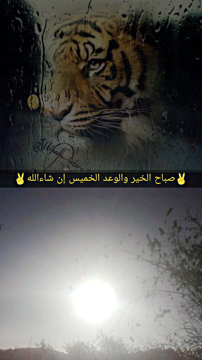 #روح_الاتحاد