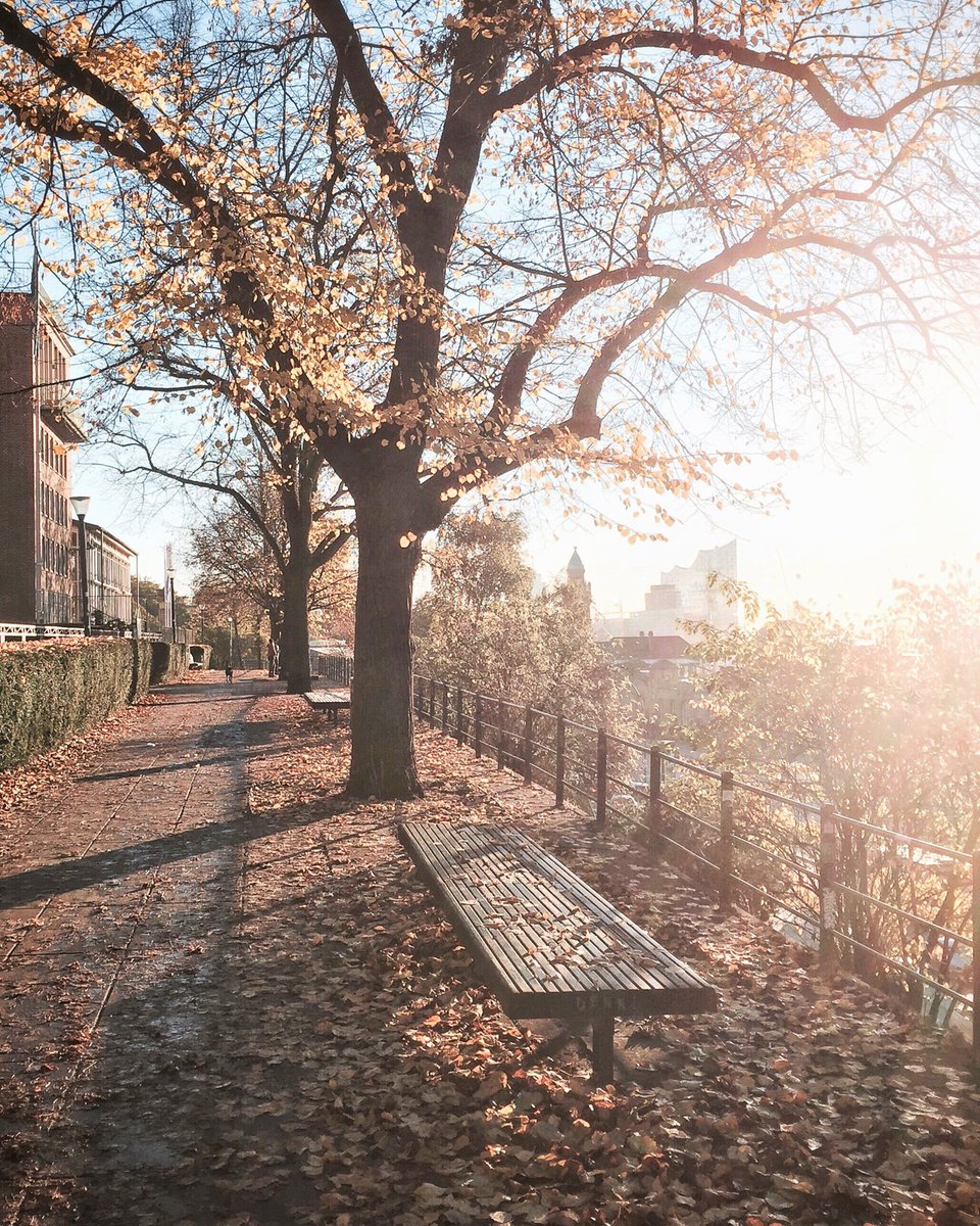 hansegang's tweet photo. Vermisst ihr auch schon den goldenen Herbst? Auf was freut ihr euch im kommenden Winter?

#Hamburg #autumn @hamburg_de @mein_hamburg @BilderHamburg @visitHamburg @passionpassport @GermanyTourism https://t.co/oR4VlLMlVF