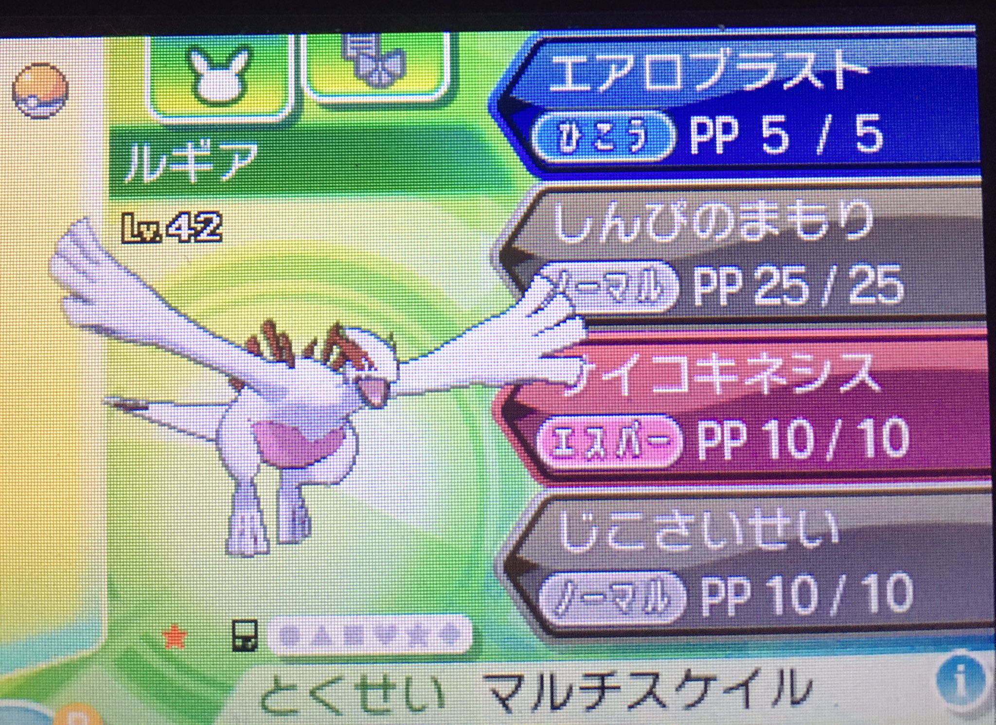 Yutaro Iizuka Eow つれてきた 最高だ Vc金銀 色違い ポケモン ウルトラサンムーン T Co Q52yufl2yc Twitter