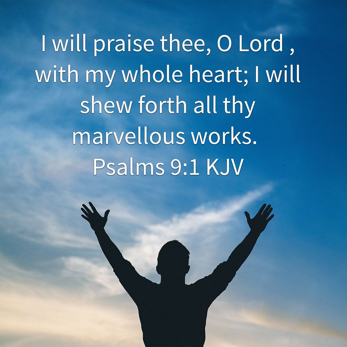 christiangaming's tweet photo. I will praise thee, O Lord , with my whole heart; I will shew forth all thy marvellous works. https://t.co/JLEKIjpnhP