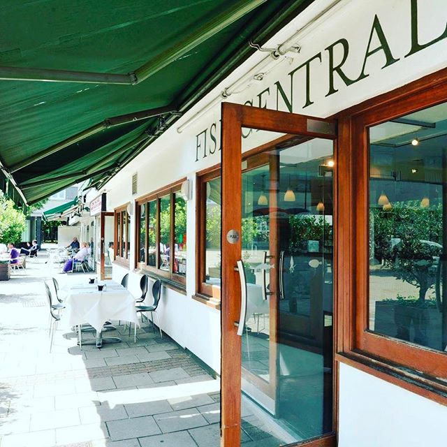 Fish Central tweet media