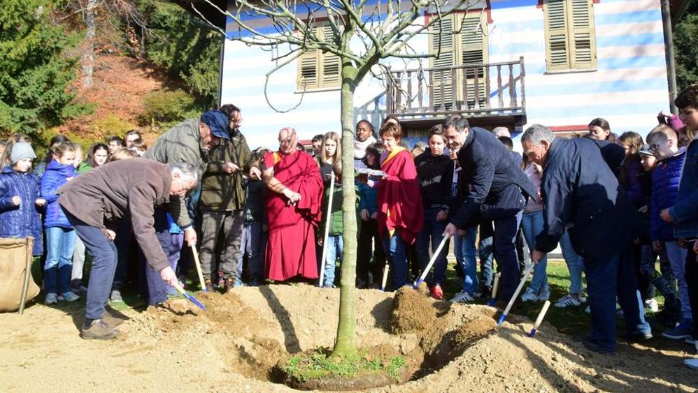 #Pace e #natura, la festa degli alberi diventa un momento di #fratellanza fra i popoli. <a href="/LaStampa/">La Stampa</a>  ow.ly/FTK230gK9vQ