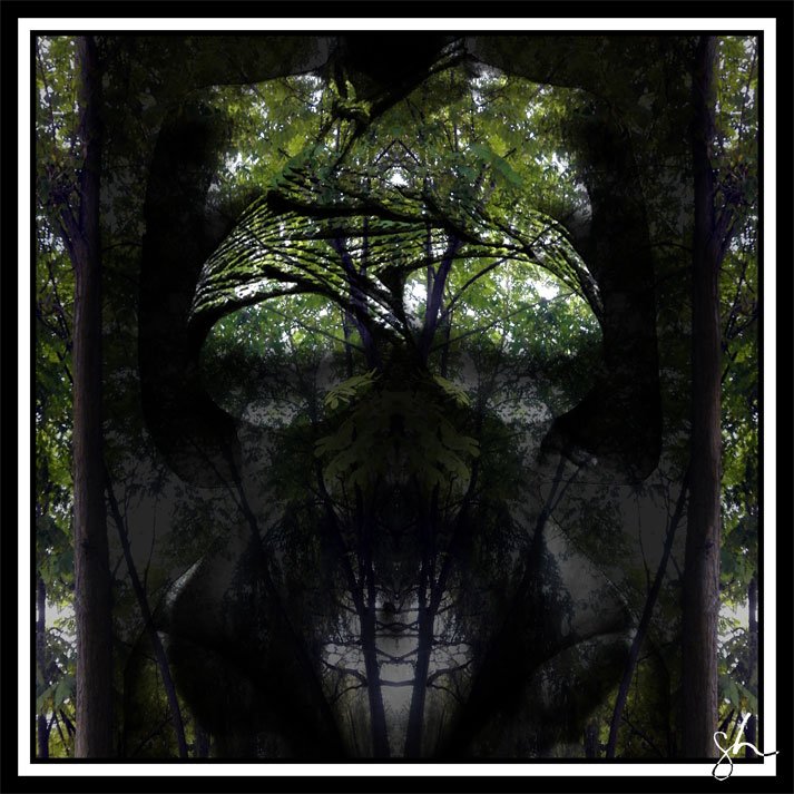 SteveParadise's tweet photo. #nature in bondage by #steveparadise #Photoshop #photography #graphics #photomontage #art #indieartist https://t.co/8MEL9YokFl