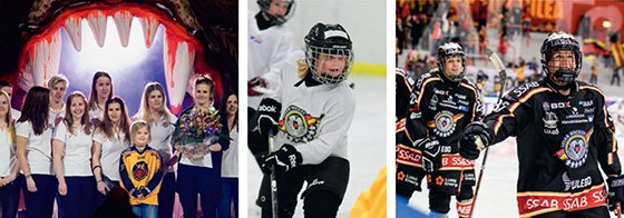 LuleaHockey's tweet image. Kom om du vill ge tjejerna chansen!
På fredag är det fri entré när LHF/MSSK möter Brynäs kl 19:00.
Godispåse till 400 första barnen, tröja till 400 första besökarna &amp;amp; vi säljer stekt palt i kiosken. Läs mer på hemsidan: luleahockey.se/artikel/5yt2aj… #getjejernachansen