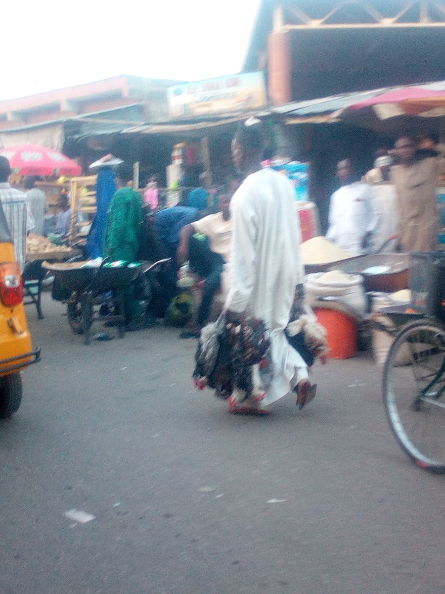 Habuhk4's tweet photo. The resilience nature of Borno people. People defying all odds to continue their normal life. More on Sights of Maiduguri Monday Market. Sign that peace is back and settled ๐ in Maiduguri #NotAnotherNigerian @Neieffellows #UntoldstoryofNortheast #CVE #NERebirth @alkayy https://t.co/OfqHkrj4XE