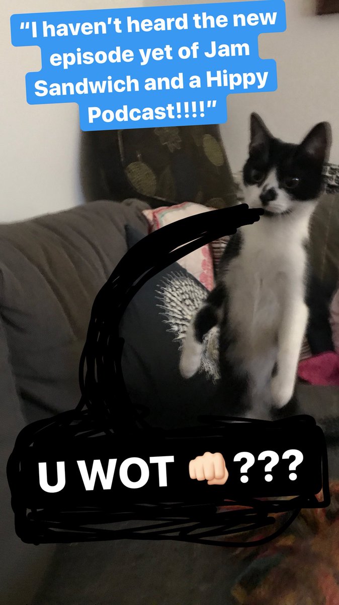 JamSandwich&aHippy tweet media