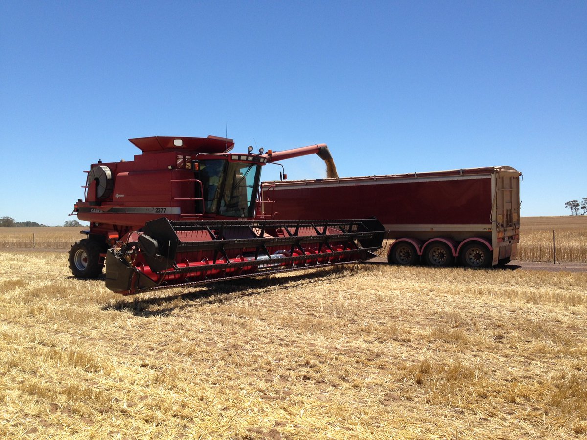 AGRIGROW's tweet photo. Always great to get out in the paddock get some dust in the eyes and smell ripe grain. Good luck to all this harvest. #AGRIGROW https://t.co/5NDoa0ohCY
