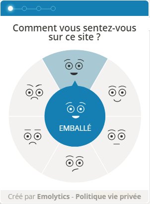 yellowdolphins.com tweet media