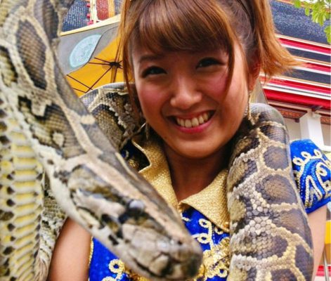 wotatranslation's tweet photo. Tokunaga Chinami to go studying abroad for a second time! https://t.co/KEHjRM4UCd https://t.co/BOpg7eNmGu