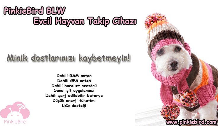 PinkieBird_com's tweet photo. #petsgpstracker https://t.co/0vkbWeeoxm